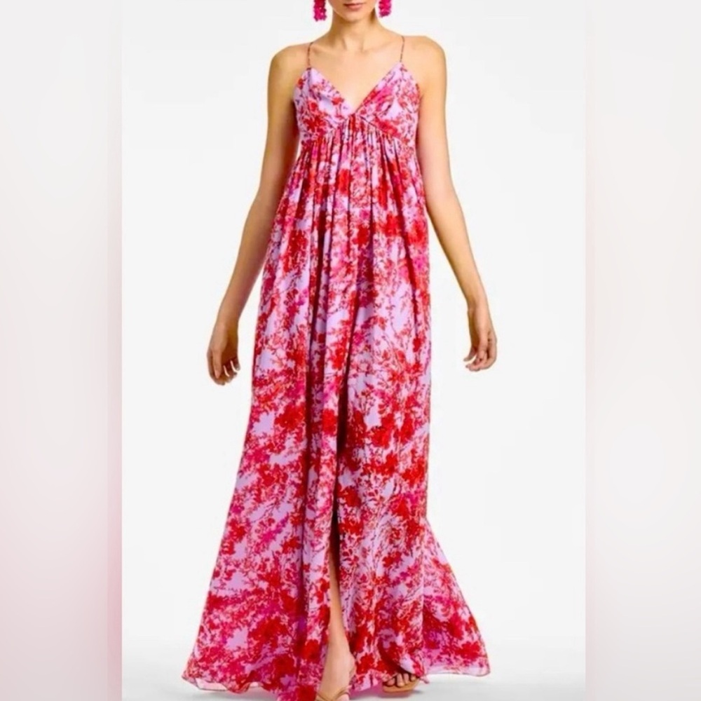 Sachin & Babi Jessica Gown